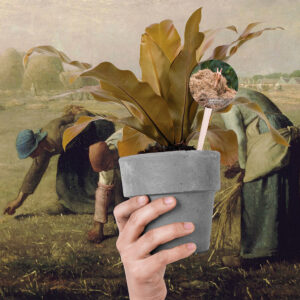 Little Ecological Fable - The Forest 1