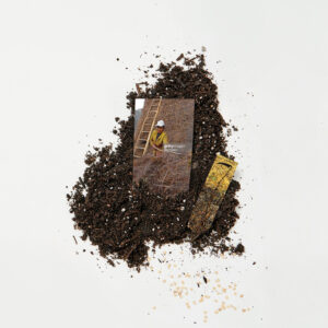 Little Ecological Fable - The Forest 2