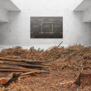 Little Ecological Fable - The Forest 5