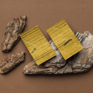 Little Ecological Fable - The Forest 7