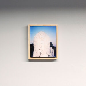 Lion of Ruokolahti II