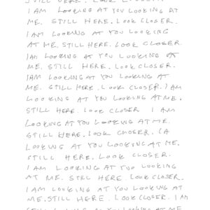 I Am Looking at You Looking at Me