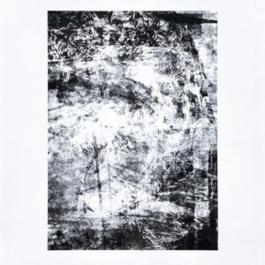 Seriality of Singular No 3