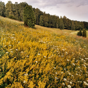 Rapola (Valkeakoski)