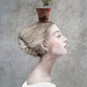 St. Helenan perijätär – The Heiress of St. Helena