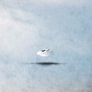 Unelmilla uinuja – Slumbering on Dreams