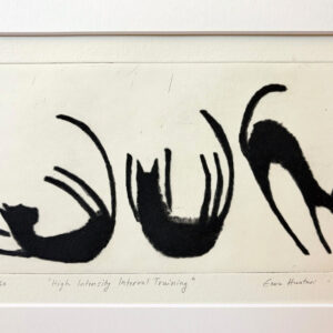 High Intensity Interval Training