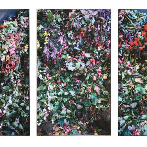 Viimeinen kukinto (triptyykki) / Final Bloom (triptych)