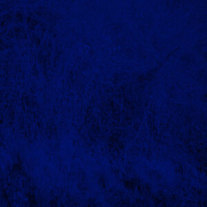 Dormancy (Night)