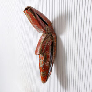 Sicada / Kaskas, sarjasta: Project Insecta