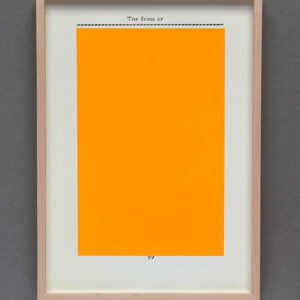 Sarjasta 'The Conquest of Happines 1-7': ORANGE