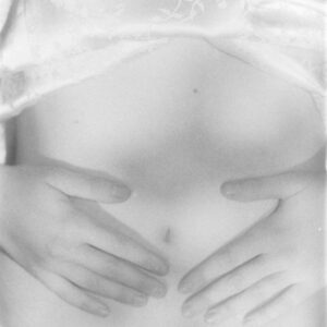 I am going home to eat mulberries from the tree