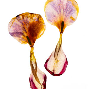 Kerro se kukkasin IV