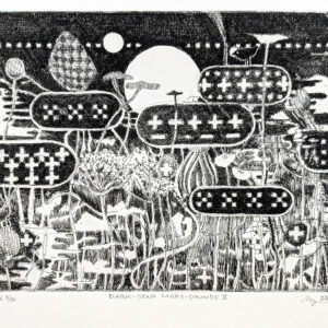 Dark-Star Light-Sounds II