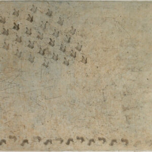 Kärpäset ja toukat