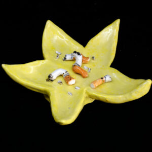 Sä olit varma et sinusta tulee tähti