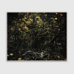 All Too Well, Vancouver