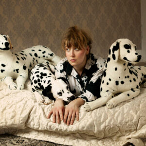 Seeing a Dalmatian brings good luck