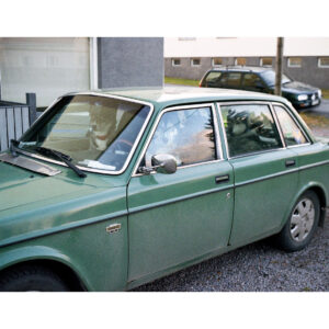 Kolme koiraa Volvossa