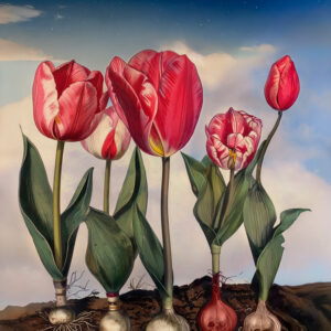 Tulppaanit