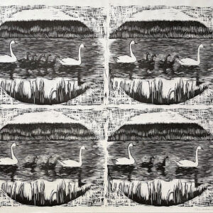 Lasken joutsenet aamuisin