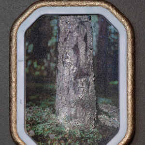 trollskogen untitled rectangle#1