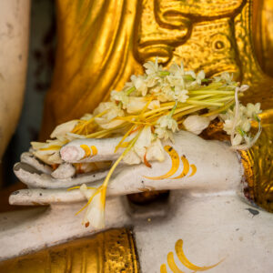 Shwedagon, 2022