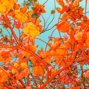 "Dimension #31" sarjasta "Transcendent Country of the Mind"