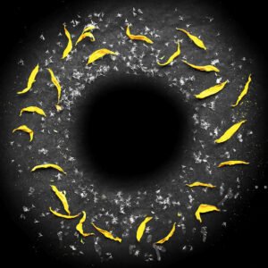 Van Goghin auringonkukan pimennys / The Eclipse of van Gogh'