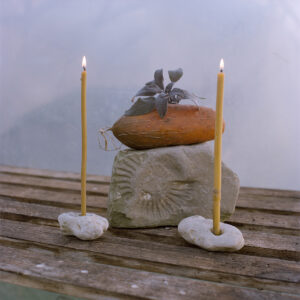 The Diffused Light (Polytunnel)