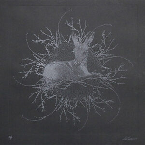 Black Lace Bambi 2025