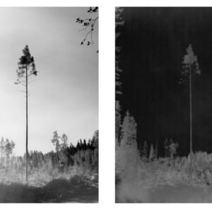 clearing diptych
