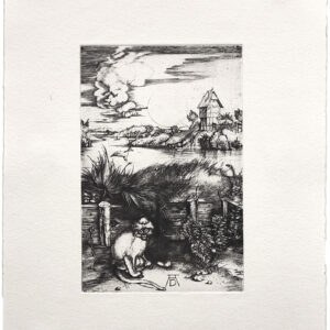 Free Mary (After Albrecht Durer “Virgin and Child with the M